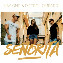 Kay One Feat. Pietro Lombardi - Senorita (FanTom Bootleg) (Edit)