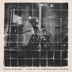 Elephant - Live