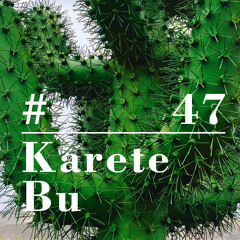 RIOTVAN RADIO #47 | Karete Bu