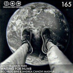 Avicii Vs Linkin Park - Waiting For Numb (Riccardo Bini & Andrea Canovi Mashup)