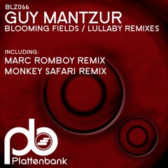 Premiere: Guy Mantzur - Blooming Fields (Monkey Safari Remix)