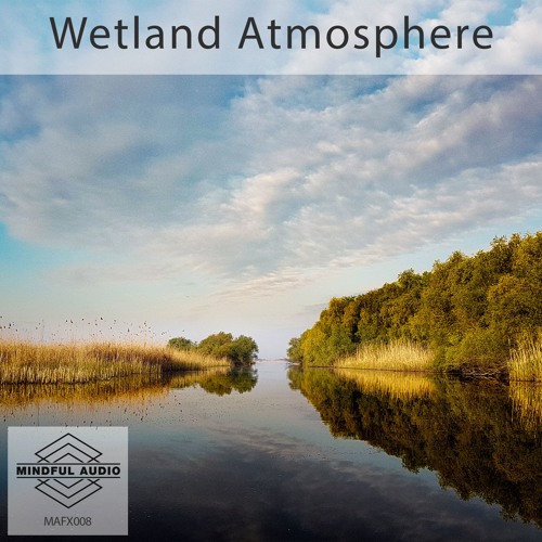 MAFX008 Wetland Atmosphere Demo