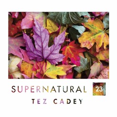 Supernatural 23 by Tez Cadey