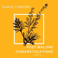 James Crooks  Post Malone 'Congratulations' Remix