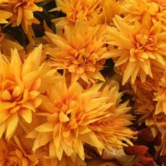 You're not there when I want you to be...