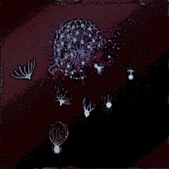 Cosmic Cycle