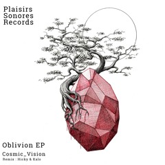 PREMIERE: Cosmic Vision - Aeternum (Hicky & Kalo Remix) [Plaisirs Sonores]