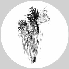 PREMIERE : Cody Currie - Urlaub Kommt