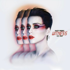 Hey Hey Hey (Witness: The Tour Studio Version ALPHA)