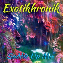 Saddle Up! (Mixed by Exotikhronik)