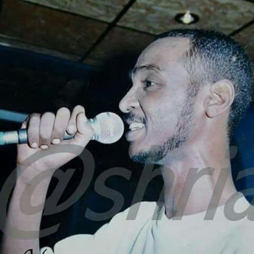 محمود عبد العزيز زينوبة