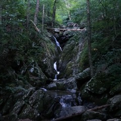 Belis - Seasons Change Remix (feat. El Guapo)