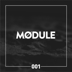 Mødule 001 - Leiras