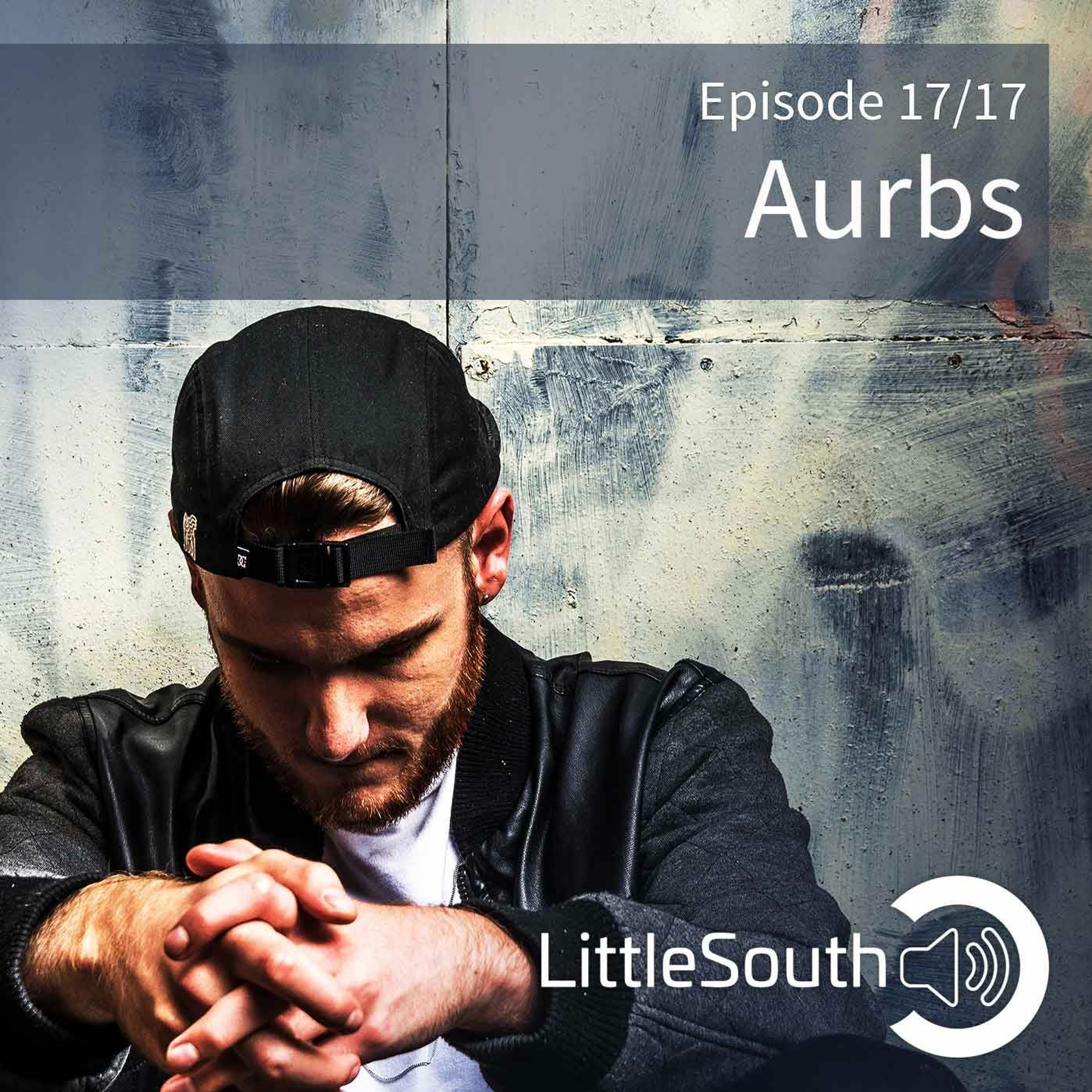 Episode 17/17 | Aurbs | Little South - the podcasts episode artwork