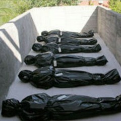 Body Bag-Kyng Ray Ft. D dubb 2-17.mp3