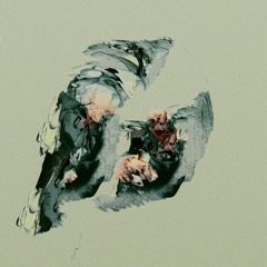 Johan Allerfeldt - Wearied Echoes (Extended single)
