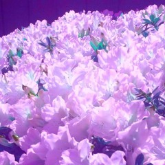 Too Different (ft. I-85)