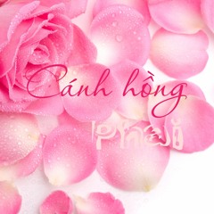 Cánh Hồng Phai - Hồ Quang Hiếu