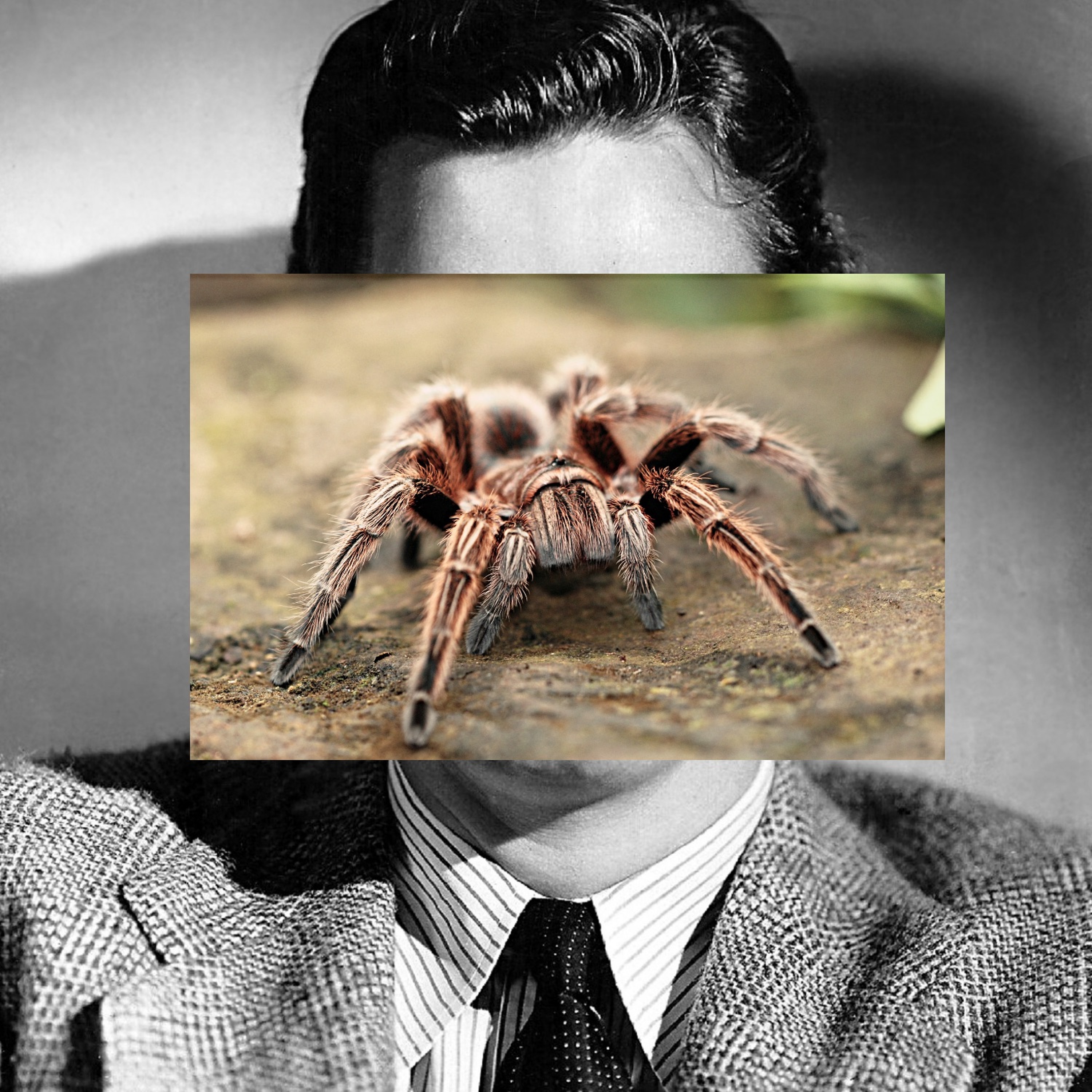 REMESA
