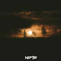 Neptis - 2017 Mix