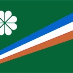 Aibojoj eo an aelon in majol kakinono ebeye