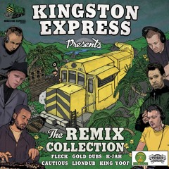 Liondub - Stress Out Remix Ft. Horace Andy
