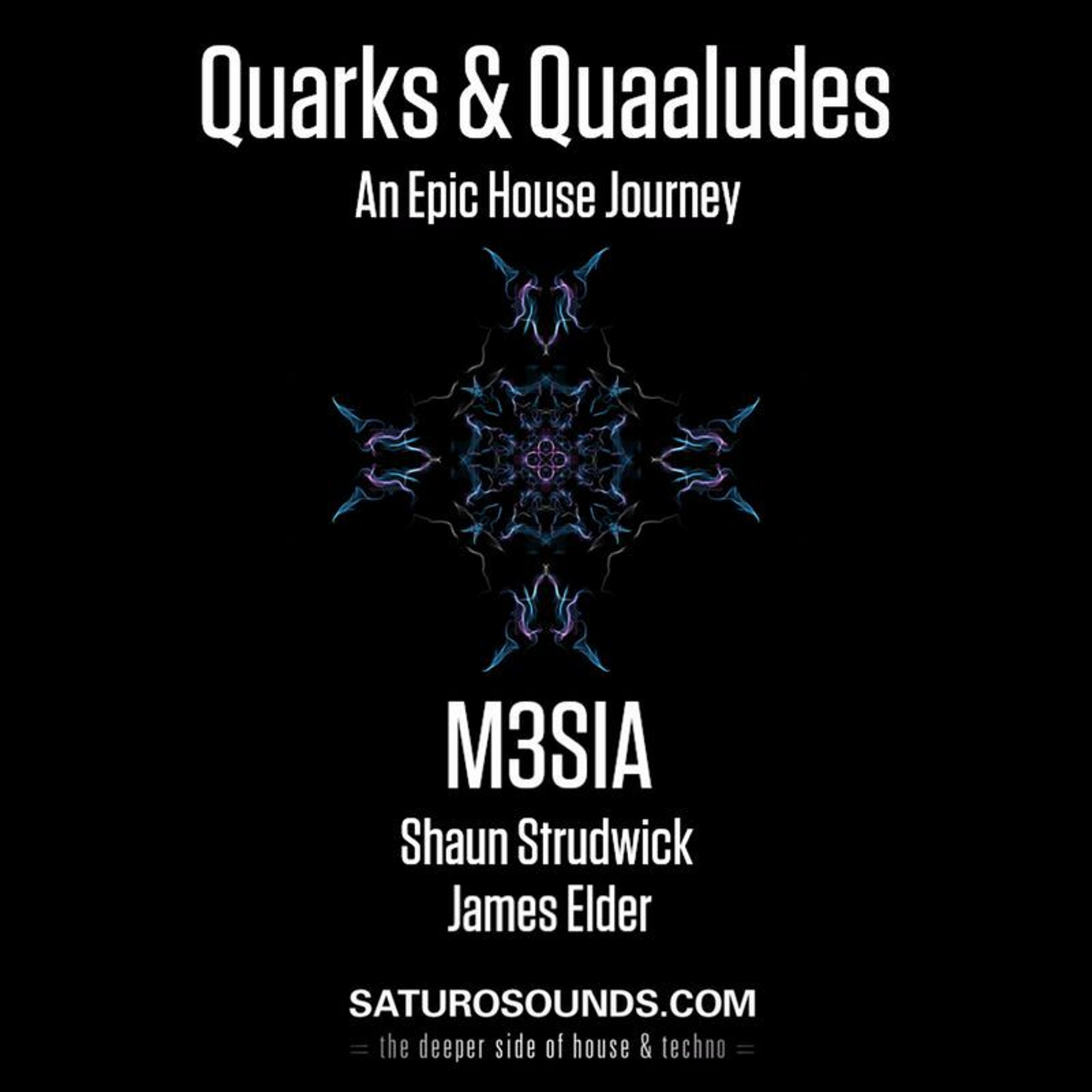 Quarks & Quaaludes #EpicHouseJourney