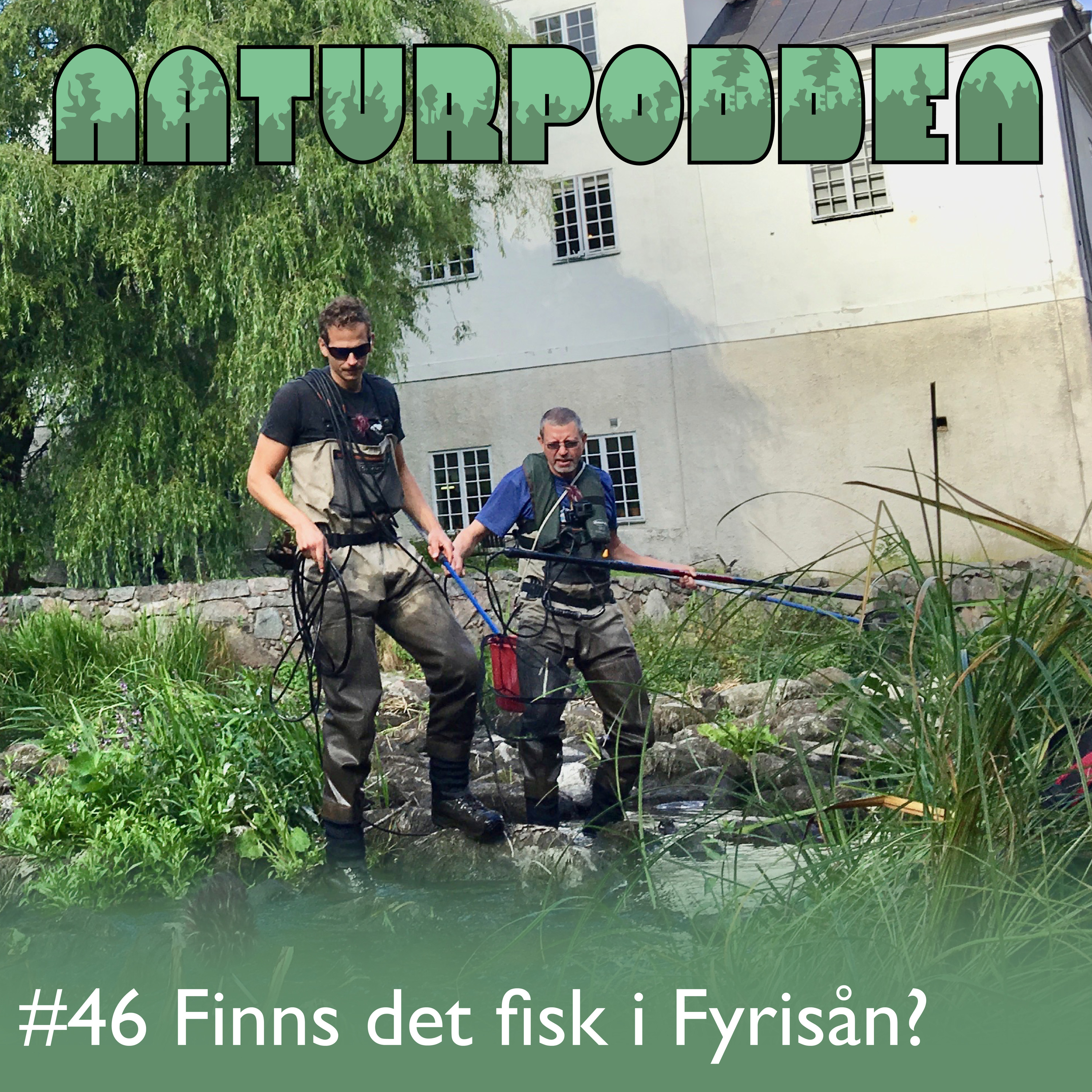 Naturpodden - Producerad av Biotopia