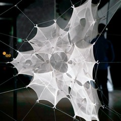 Warped Biotic - Tensile Modular Cascade