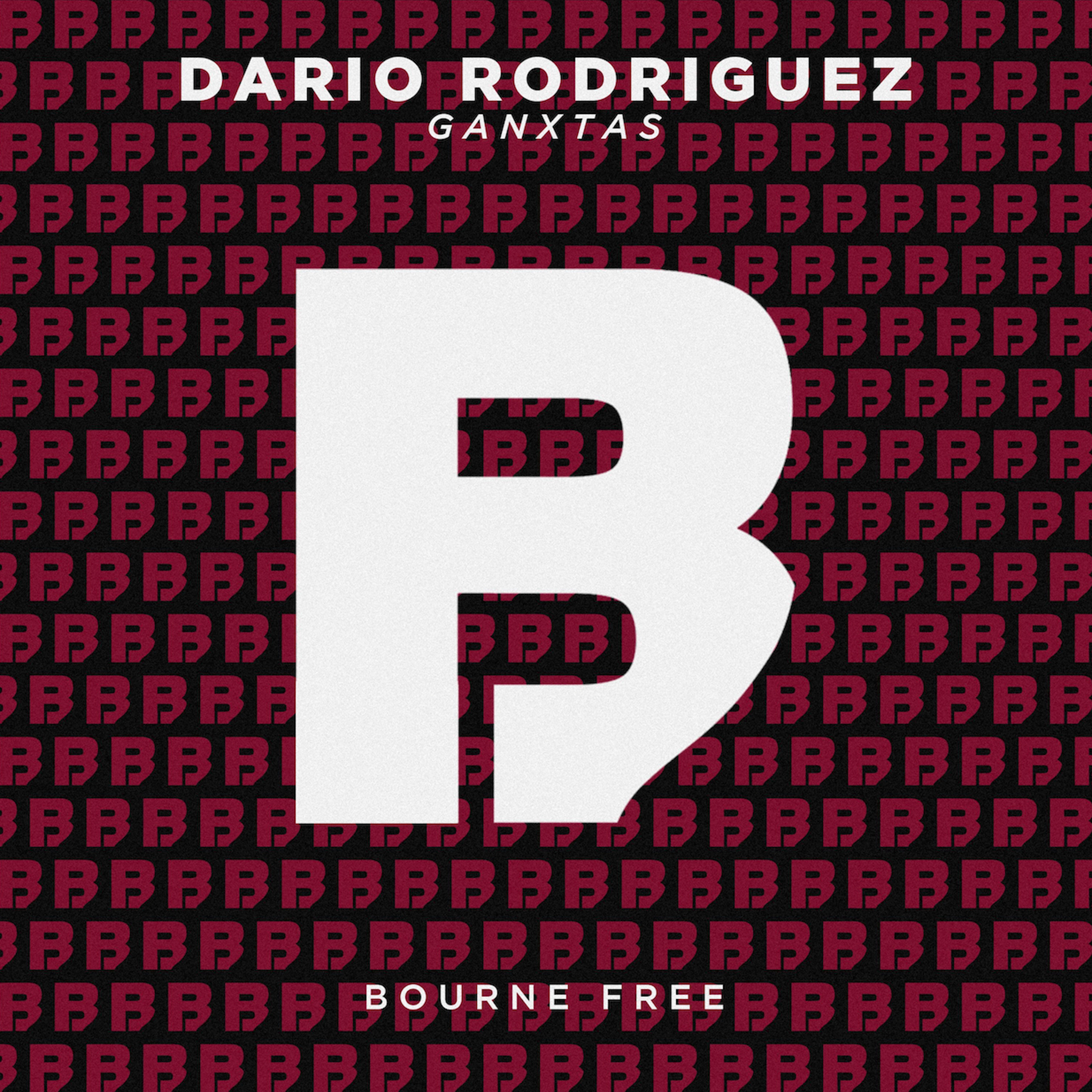 Dario Rodriguez