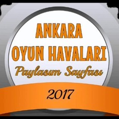 Necip Albay - Sevdigime say - Ankaradan gitmem lazim