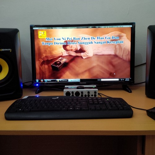 AN'S - Mei You Ni Pei Ban Zhen De Hao Gu Dan 2017 DEMO ( Dollar )