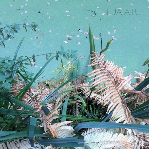 Tua Atu
