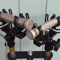 Crossed Pair At 90 Degrees Sample Recording using Oktava MK012s