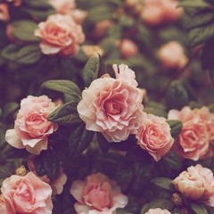 Goodbye - Kanhchna Chet ft. YT