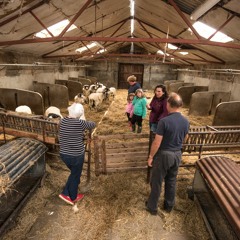 Voices from the Land: Sarah Hoggarth, Birkhaw farm, near Sedbergh