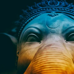 Z3nit - Crying Elephant (Preview)