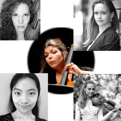 Brahms, piano quintet op. 34 in F minor, part 1 - Allegro