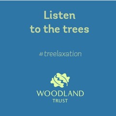 Treelaxation