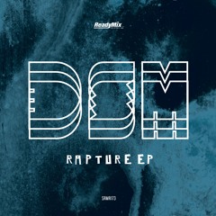 SRMR173 : DSM - Adventure (Original Mix)