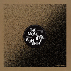 The Mole & Tom Trago - Down The Hallway (Original Mix)