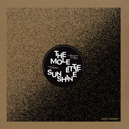 The Mole & Tom Trago - Down The Hallway (Aardvarck Remix)