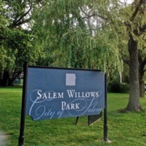 Stream Salem Willows & the Black Picnic by UniGuide Listen online for
