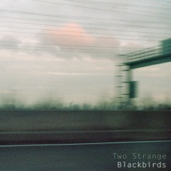 Blackbirds (feat. Hanna Schmith)