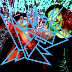 LIVE SET FLOWER FOX & PULSATONE