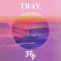 Fly.