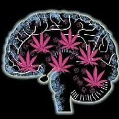 💊Drugs In My Braain💊