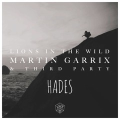Martin Garrix & Third Party -  Lions In The Wild (HADES Remix)