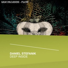 Sam Paganini & Daniel Stefanik  - Flow Deep Inside (Zobla edit) + free DL