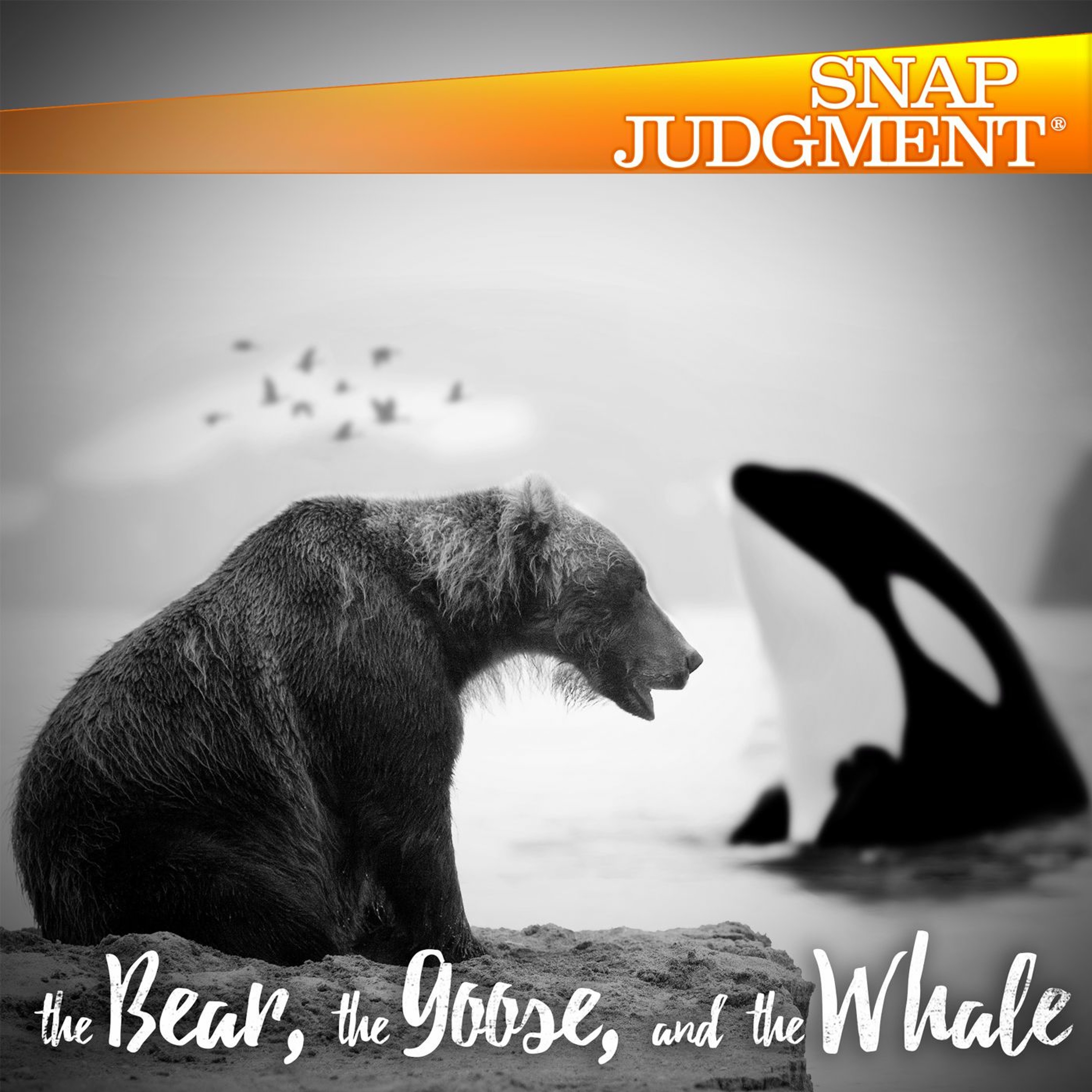 Listen to the entire Snap Judgment episode "The Bear, The Goose and the Whale (Part 1)